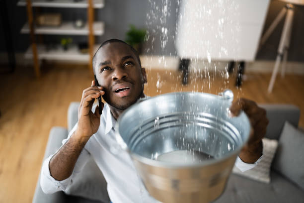 Carpet water damage restoration in Levelland, TX