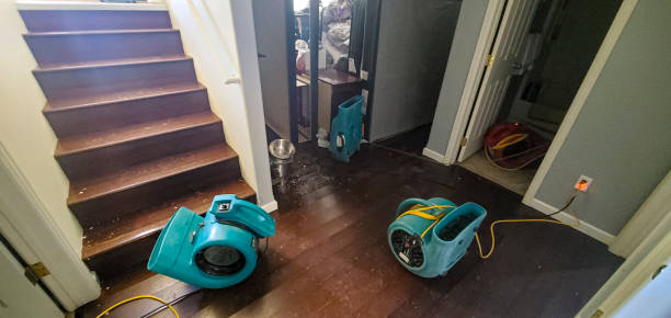 Best Residential water damage restoration  in Levelland, TX