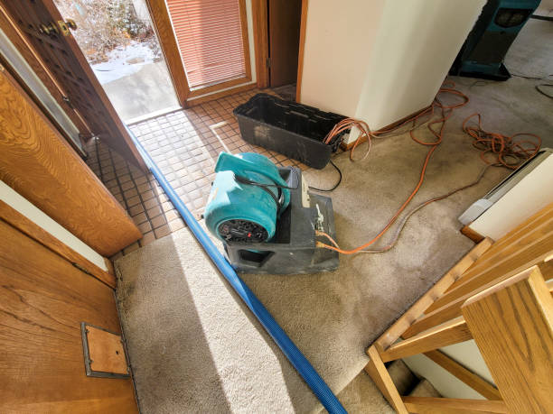 Best Water damage restoration mold remediation  in Levelland, TX