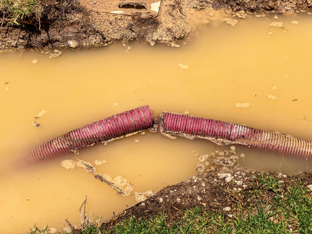 Best Emergency water damage restoration  in Levelland, TX