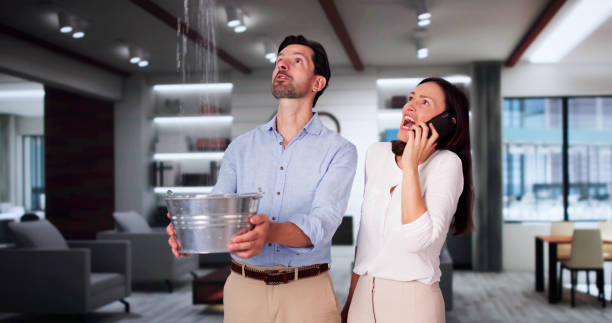 Best Local water damage restoration  in Levelland, TX