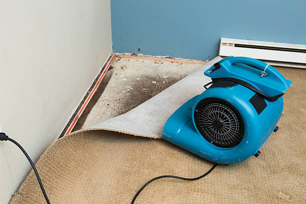 Levelland, TX Water damage restoration Company